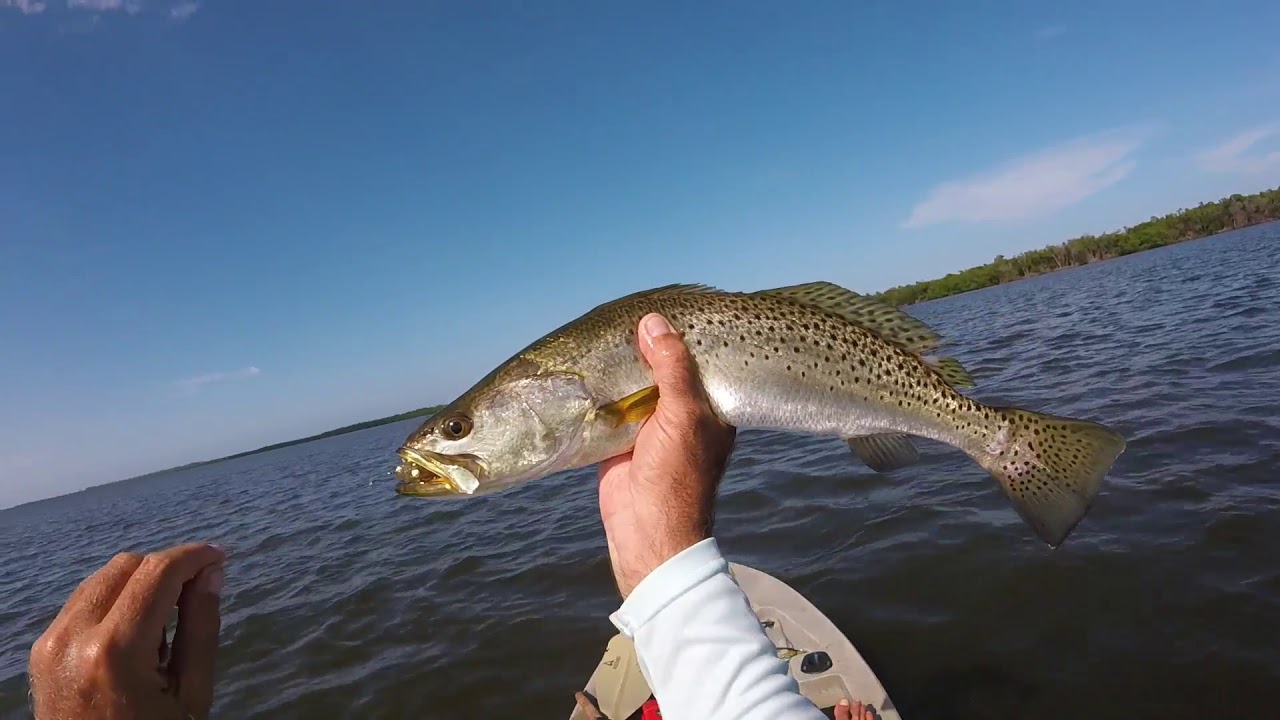 What is the best lure for speckled trout? - FYAO Saltwater Media Group, Inc.