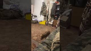 Новые истории кабанчиков ВСУ