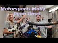 Motorsports Molly Dyno Day! Her new 410ci 351 Windsor based Mustang motor! From Lucore Automotive