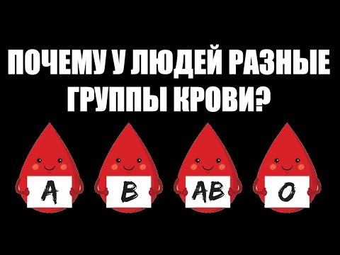 Почему у людей разные группы крови?