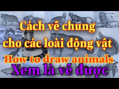 Video Cách vẽ động vật | How to draw animals - YouTube