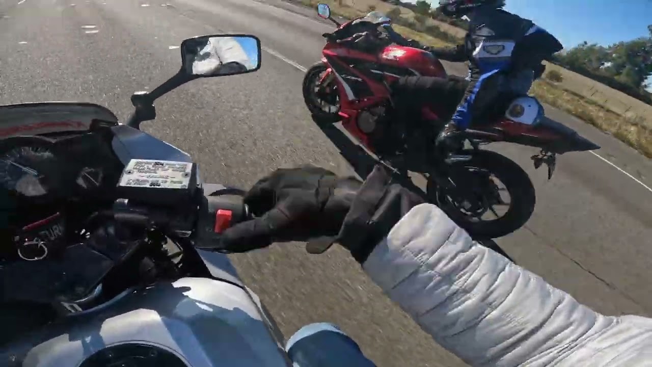 Epic Motorcycle Adventure: The Quest for the Ultimate Sticker!