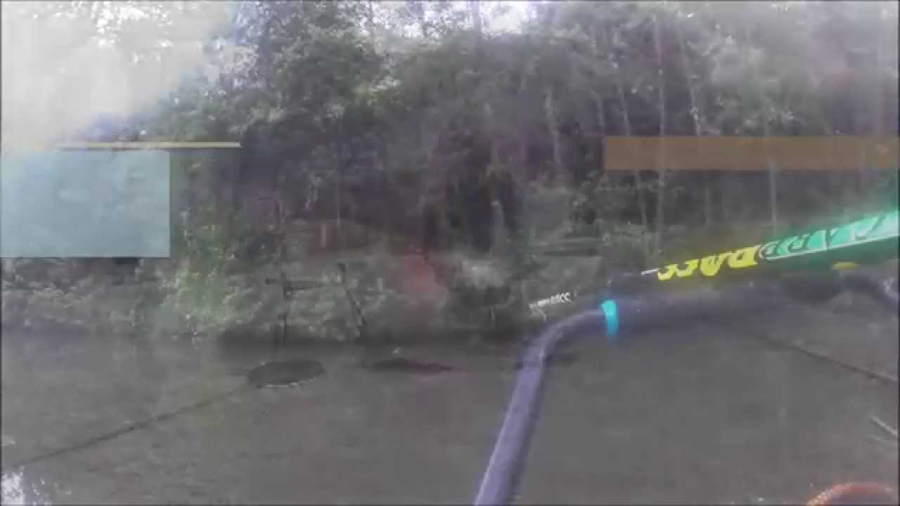 touche en direct carpe 9kg