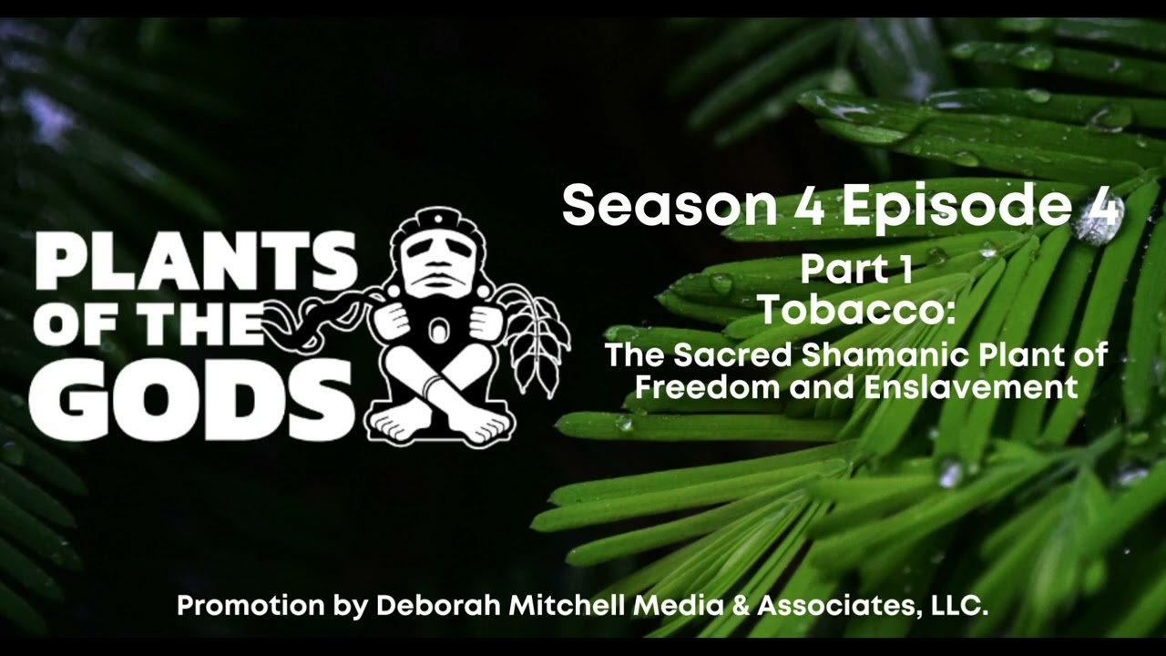 Plants of the Gods S4E4 | Part 1 — Tobacco: The Sacred Shamanic Plant of Freedom and Enslavement