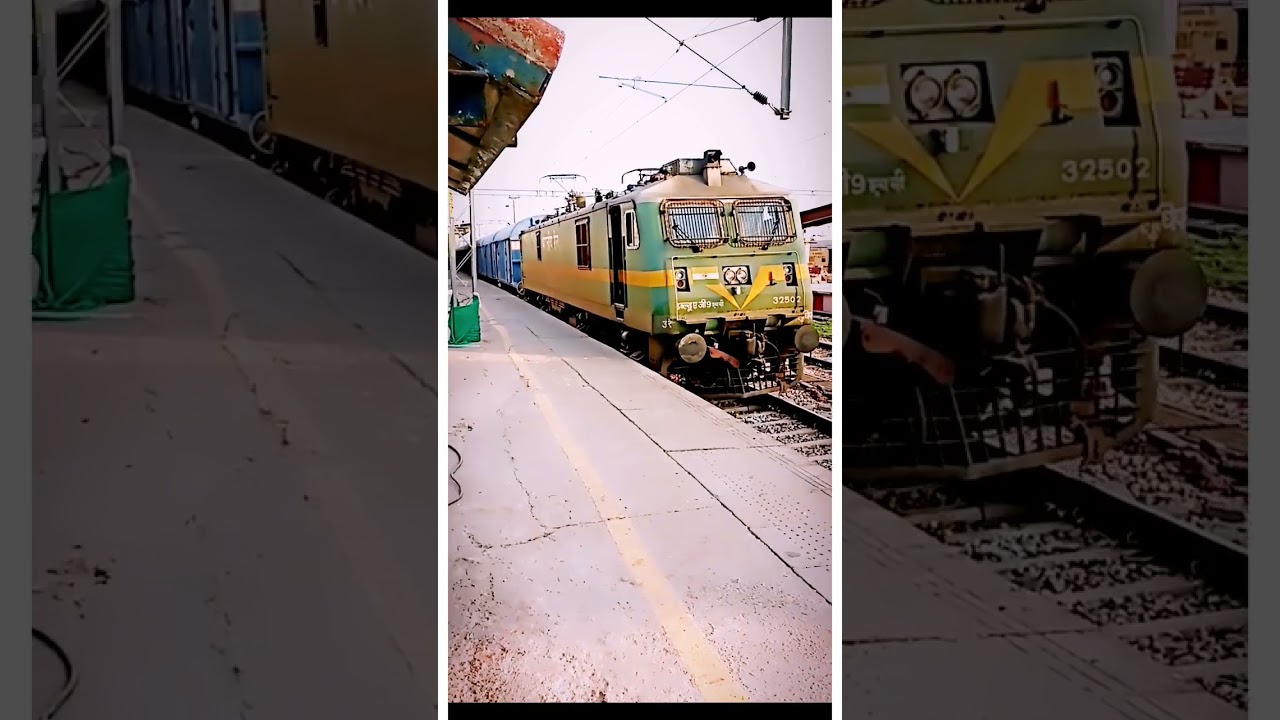 Wag 9 arriving with good strain 