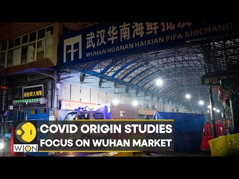 Study: The COVID-19 virus originated from Wuhan wet market | World English News | WION