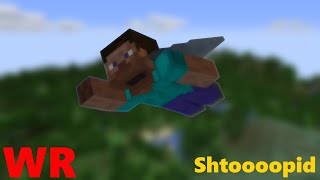 Shtoooopid SMP Elytra Course WORLD RECORD - 24.82 (BEATEN)