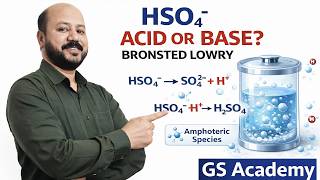 How To Justify That Hso4 Is A Bronsted Lowry Acid Amphoteric Species Explained Chemistry