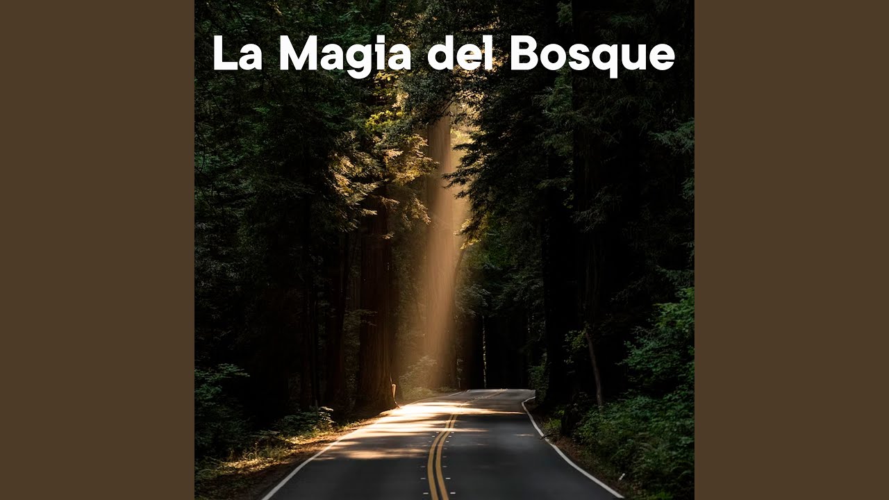 La Magia del Bosque