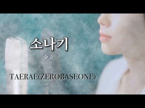 【소나기(夕立)】 日本語字幕 Cover TAERAE(ZEROBASEONE) (原曲:ECLIPSE)