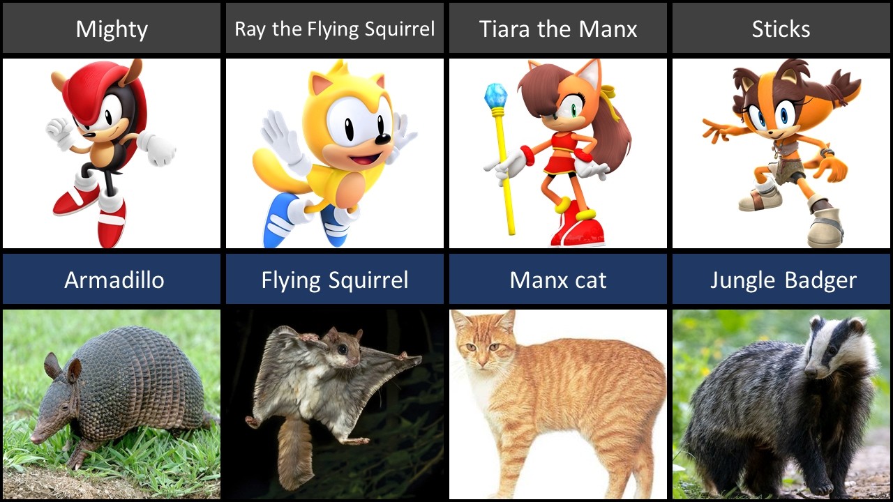 Real Animals That Inspired Sonic the Hedgehog Characters