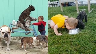 اجمل المواقف المضحكة للاطفال مع الكلاب_ Cute Dogs And Adorable Babies