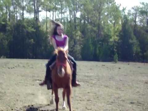 Crystal riding the stubborn horse - YouTube