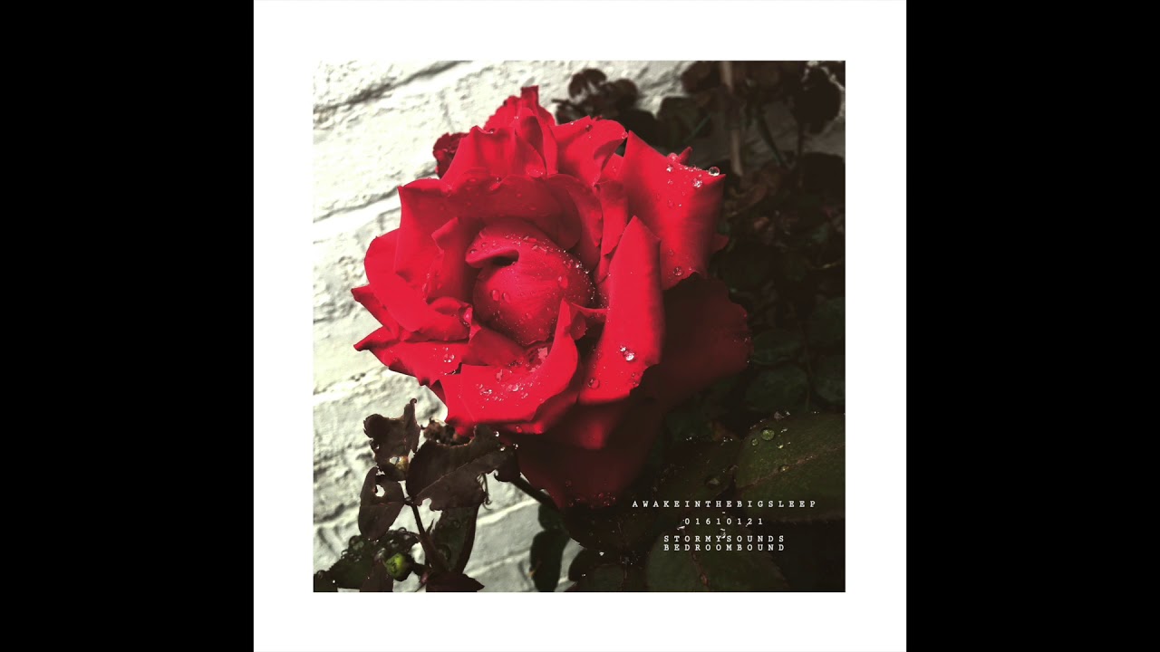 Awake In The Big Sleep - Feelings That You Pay For (Read Description)