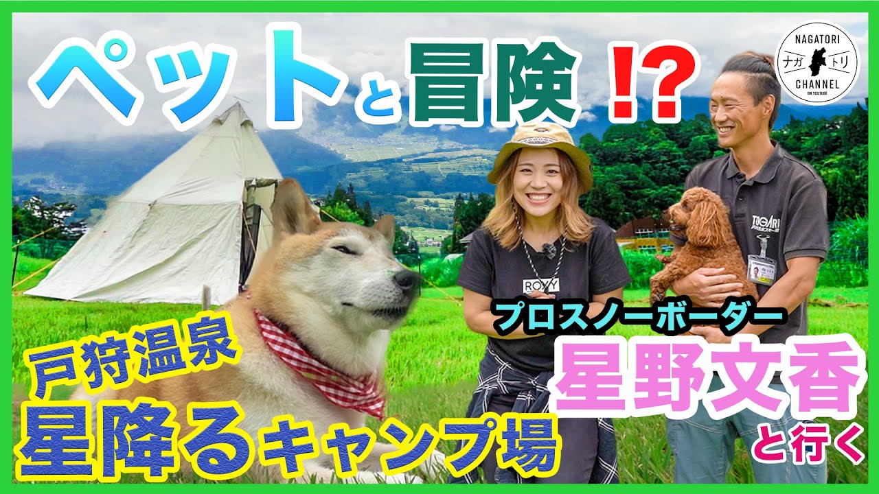 長野県飯山市 ペットと冒険 星野文香と行く戸狩温泉星降るキャンプ場 ナガトリ Youtube