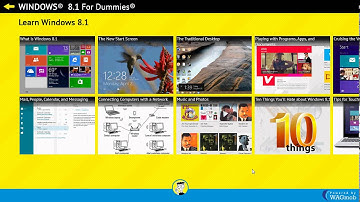windows 8.1 for dummies app review