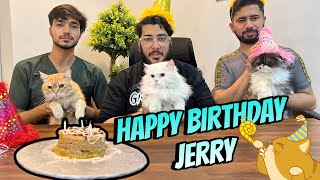Jerry ki Birthday Celebrate ki  | Cats k liye Cake Bhi khud bnaya  | Cat Birthday Celebration