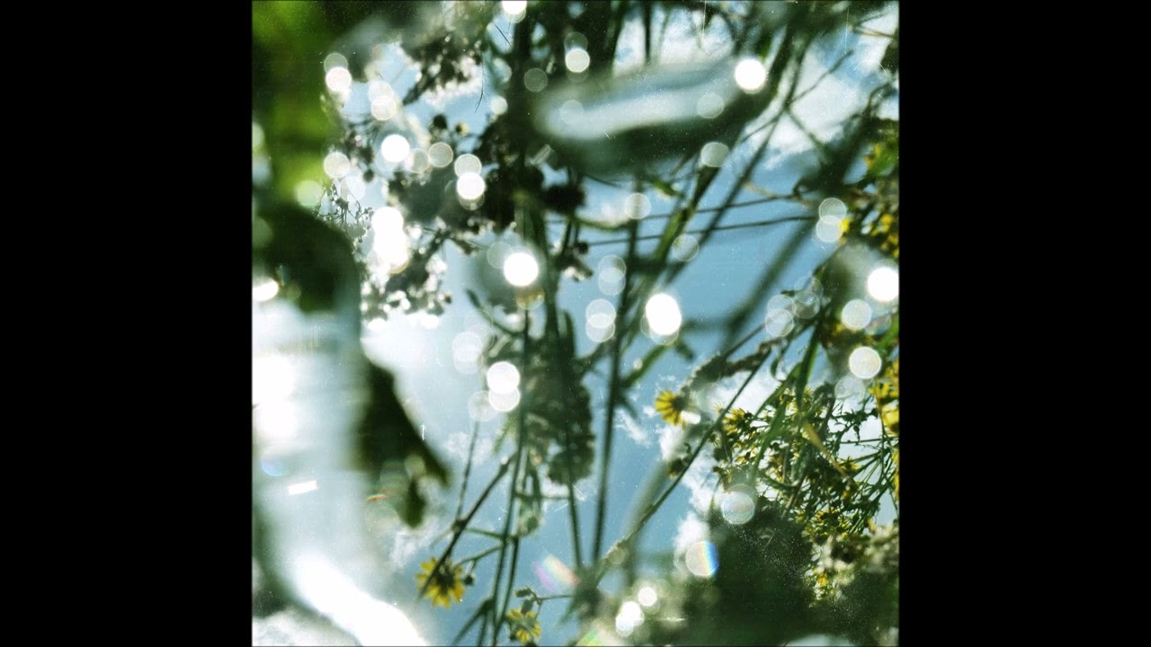 Cabasa - Bird Tool (Ayesha's Drums You Can Touch Dub) auf YouTube ansehen Cabasa - Bird Tool (Ayesha's Drums You Can Touch Dub) auf YouTube ansehen