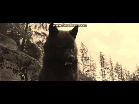 Волки из сумерек