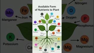 Available Form of Nutrients to Plants | 17 Essential Nutrients in Plants |#farming #agriculture