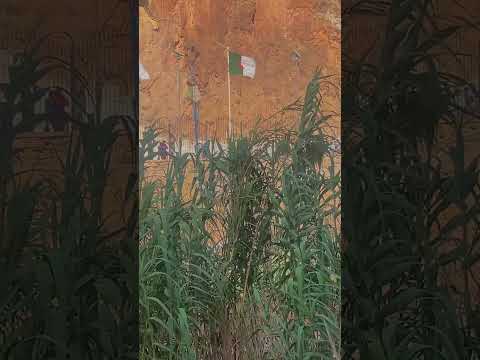 نسيت هاد الفيديو هاهو تم تكرم ايت هكا ايت لابا المغرب الجزائر العالم الاخر 