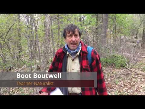 Spring Flowers with Boot Boutwell - Part 1