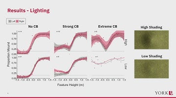 SD&A 2025: Convexity biases in stereoscopically viewed ground terrain (2D)