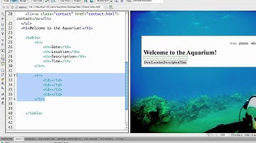 (14/41) Creating a HTML Table