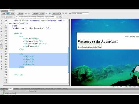 (14/41) Creating a HTML Table