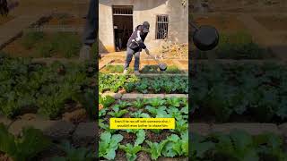 Are you addicted to growing vegetables too... or am I the only one who gets excited over a single⬇️