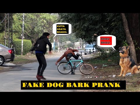 fake-dog-bark-prank-|-prank-in-pakistan-|-awais-khan