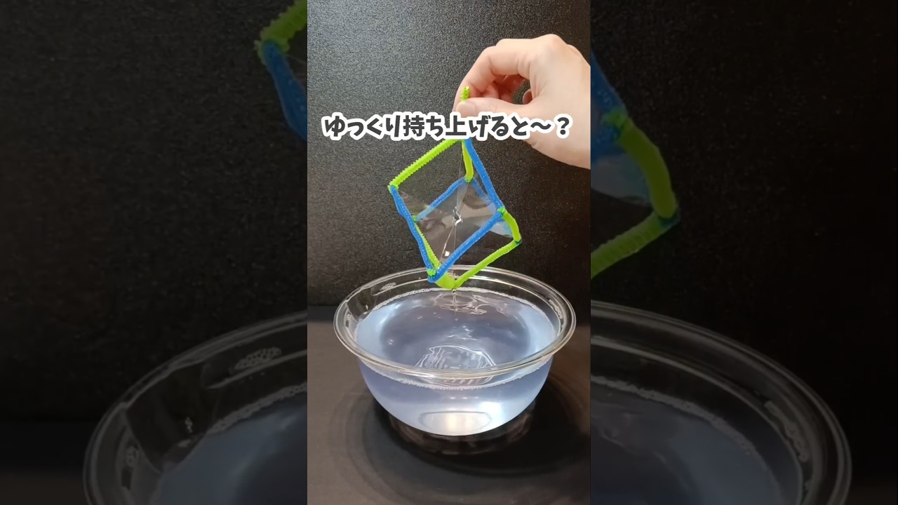 こんなの見たことある？不思議な形のシャボン玉！　#おうち遊び　#実験遊び　#知育遊び　#科学遊び
