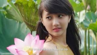 Download Lagu Thái Thanh - Đưa Em Tìm Động Hoa Vàng_thơ Phạm Thiên Thư - nhạc Phạm Duy 1080p MP3