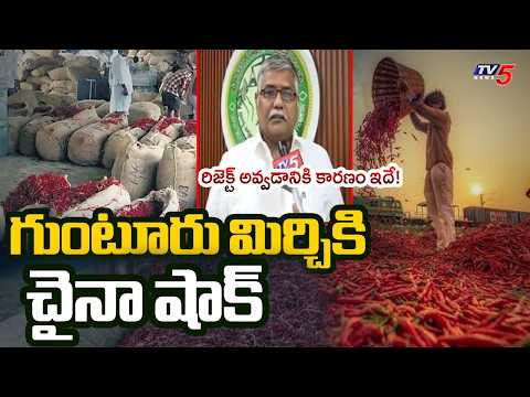 Guntur Mirchi Yard Chairman Kurra Apparao Face To Face Over Mirchi Export Issues | TV5 News - TV5NEWS