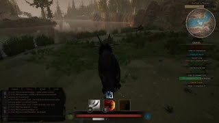 Random Clips #45