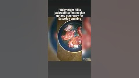 opening day hunting cook a Jack rabbit too lean. never again