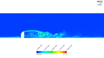 CFD of the turbulent flow behind a D-shaped bluff body