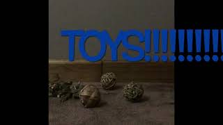 Nala bunny getting new toys!!!!!!!!!!!!!!!