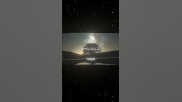 سورة الواقعة|10-18|القارئ:#محمد_اللحيدان #قران #quran #راحة_نفسية #قران_كريم#تلاوة_هادئة#تلاوة_خاشعة