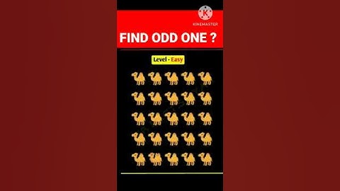 Memory Test 13 - Remember Me ?  Memory Riddles for IQ Test | #riddles #quiz #shorts #shortvideo