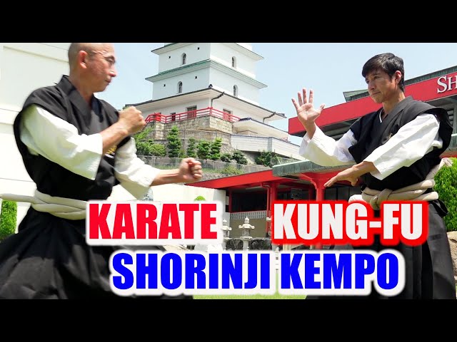 Karate Master meets Kung-fu and Shorinji Kempo! - Detailing amazing skills