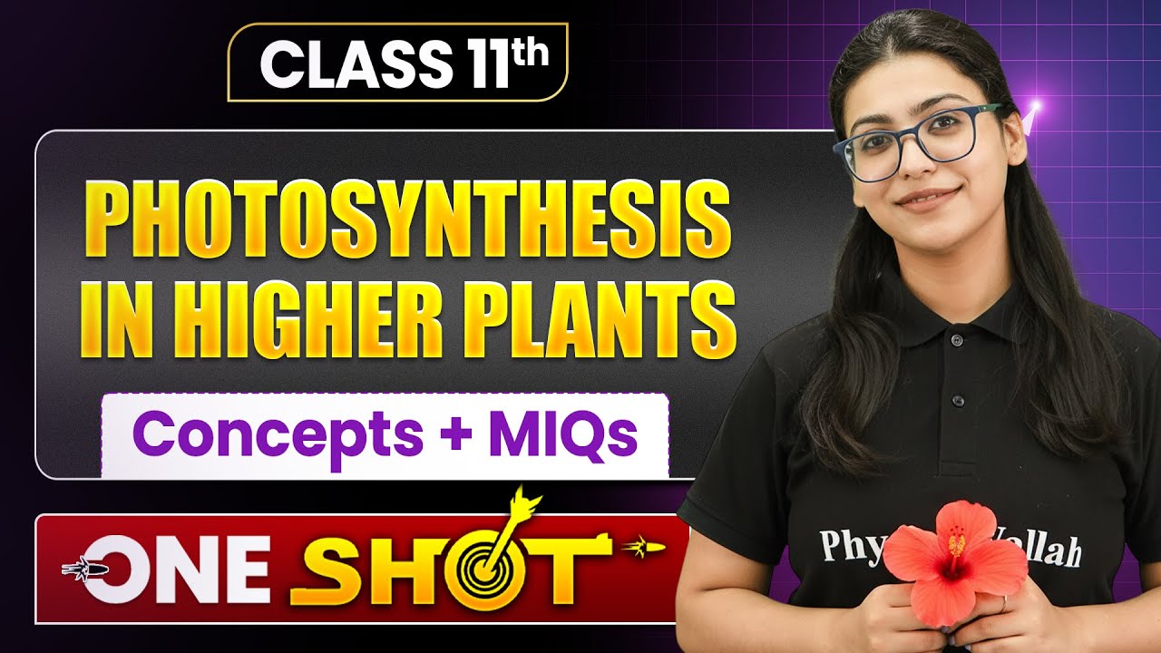 PHOTOSYNTHESIS IN HIGHER PLANTS Full Chapter Covered | Class 11 Biology Chapter 6 | Supriya Ma'am