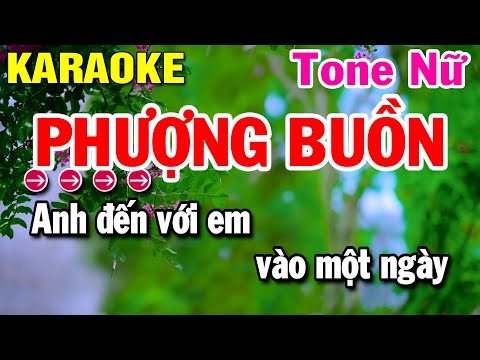  Phượng Buồn ❤️ Tiểu Long Nữ 