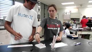 Classroom Clips - 10th Grade Science - Steve Cornell (Part 3)