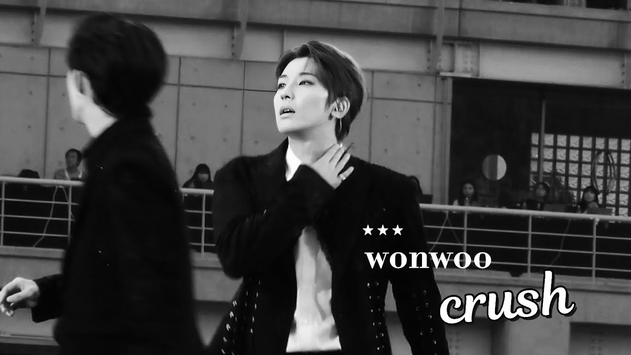 241013 SEVENTEEN RIGHT HERE 고양 Crush #원우 #WONWOO #세븐틴 #SEVENTEEN #ウォヌ #全圓佑