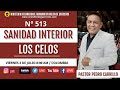 N° 513 "SANIDAD INTERIOR - LOS CELOS" Pastor Pedro Carrillo