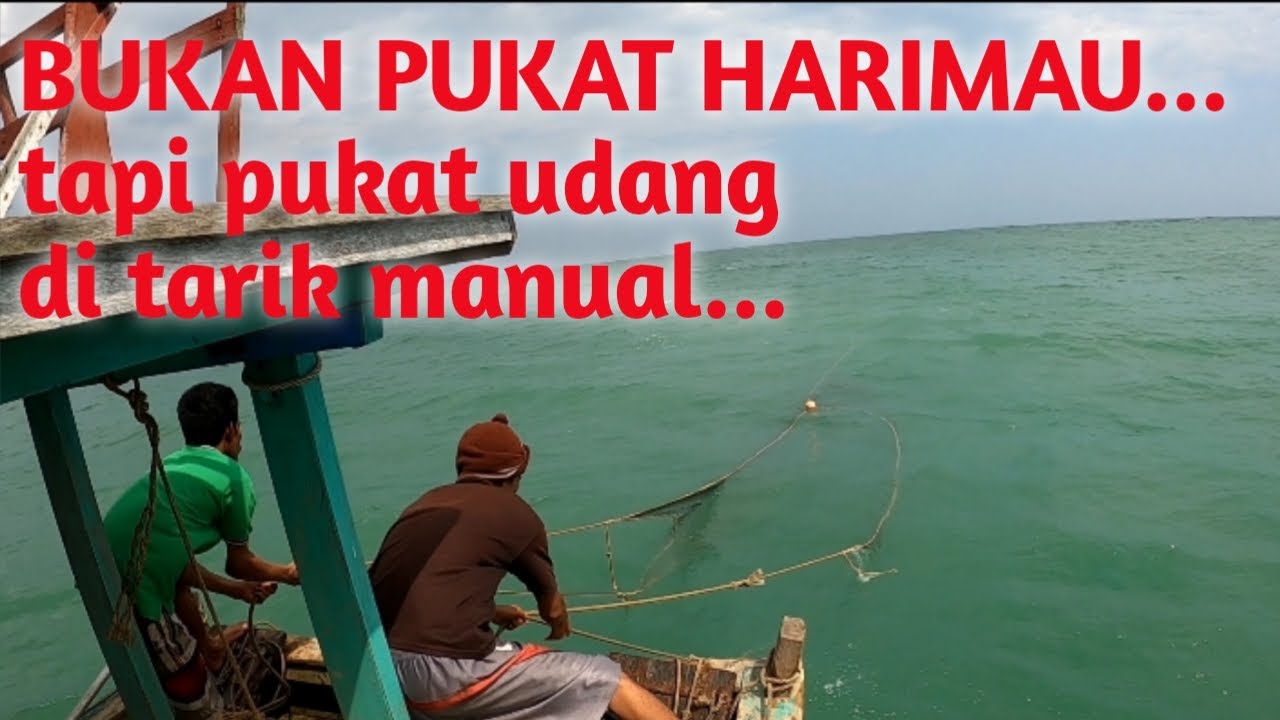 TRAWL MINI, MUSIM UDANG shrimp fishing boat @rumbaifishing31