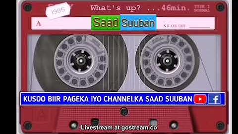 من سورة الضحى إلى سورة الناس