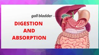 DIGESTION AND ABSORPTION PART 14