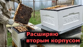 Пчеловодство - Пора расширять семьи